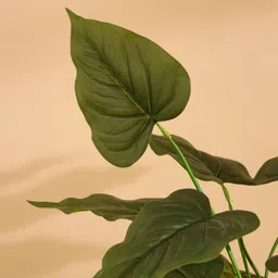 Elemntl Green Core image 5