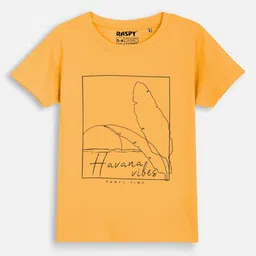 RASPY Boys Pack of 3 Graphic Printed Round Neck Cotton T-shirts image 1