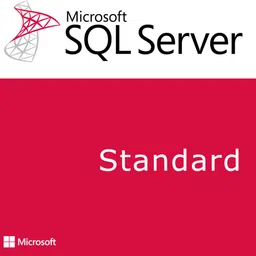 MICROSOFT SQL Server 2019 Standard (1 User/PC, Lifetime) Activation Key-picture-22