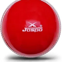 jaspo T-20 Red Soft Pack of 6 Cricket Training Ball image 2
