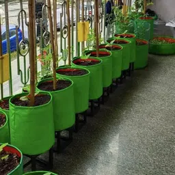 GOLDEN RETRO 12x12 inch,Terrace GardenING bag, Fruits PACK OF 10 Grow Bag image 4