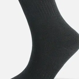 Calvadoss Men Pack Of 3 Cotton Calf Length Socks image 5