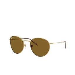 Ray-Ban Unisex Round Sunglasses with Polarised Lens 8056262268346-picture-15
