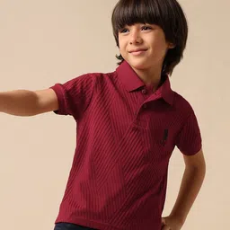 u.s. polo assn. kids Uspa Kids Boys Textured Pure Cotton Polo T-shirt-picture-24