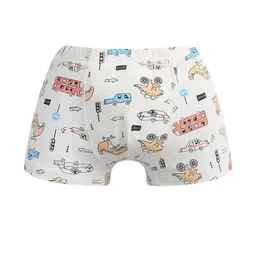 Teri Beri Set Of 4 Low-Rise Cotton Hipster Briefs image 2