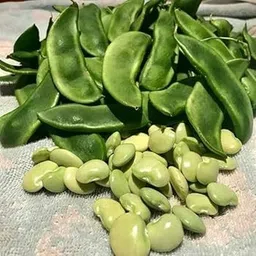 bjubas vegetable simphali seeds pack of 10 Seed-picture-25