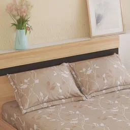 Home Centre Brown 144 TC King Bedsheet with 2 Pillow Covers image 3