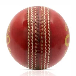 HackerX Pebble Leather Sports Cricket Ball-image-9