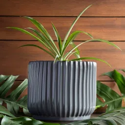 harla arts Pheonix Grey Porcelain Floor Planters image 1