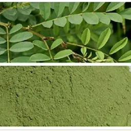 mygodgift Indigo Powder / Neelamari / Black Henna Powder Seed-picture-21