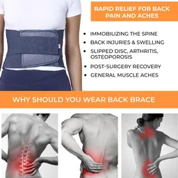 prourban LS GREY Back / Lumbar Support image 5