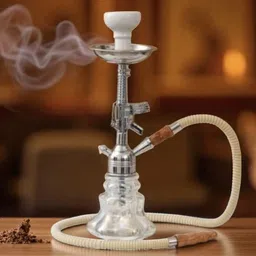 the new look Best Quality Trendy Hukka_new 14 inch Glass, Iron Hookah-picture-16