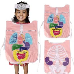 My House Teacher Kids Whats Inside My Body Apron In A Busy Bag image 4