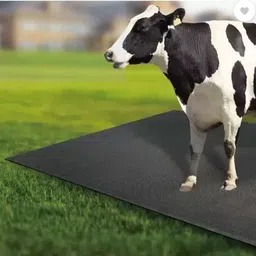 haryana jindal Cow mat Premium Black color size 8*5 Cow, Dog, Hamster, Guinea Pig, Miniature Pig Pet Mat-picture-21