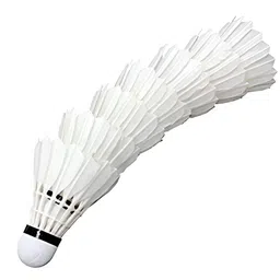 generic Badminton Set with 4 Racquets, 6 Feather Shuttlecocks, 1 Net image 2