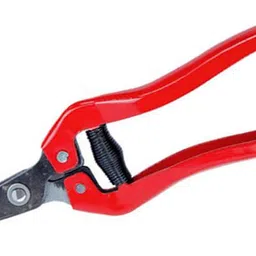 nityaecommerce Handheld Plant Branch Fruit Flower Trim Straight Curved Blade Garden Pruning Shears Garden Scissors Bypass Pruner image 4