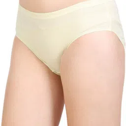bodycare Pack of 3 Women Hipster Multicolor Panty image 3