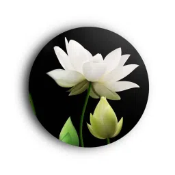 Round Multicolour Gracefully White Lotus Canvas Art Print By The Artment image 2