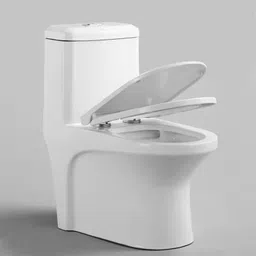 hisre One Piece Floor Mounted Ceramic Western Toilet Lunar Commode Soft Close WC-LUNAR-01 Western Commode image 2