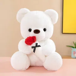 rubble tubble Teddy Bear Plush Stuffed Animal, Cute Teddy Bear with Rose - 12 inch-picture-22