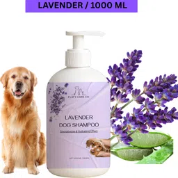 flufy care co Anti-fungal, Allergy Relief, Anti-itching, Hypoallergenic, Flea and Tick LAVENDER Dog Shampoo image 1