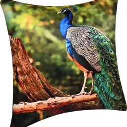 vhc Polycotton, Silk Cushions Cover image 4