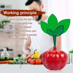 serplex Fruit Fly Trap Sticky Card Set Electronic Trap image 4