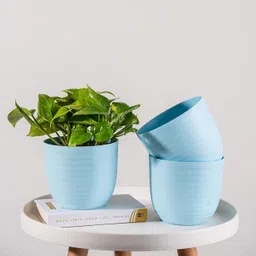 snshopee 3 Beautiful Wave Matte Finish planters flower plant pots gamla gardening Plant Container Set-picture-48