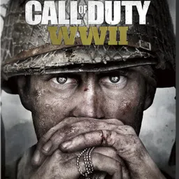 Call Of Duty: World War II-picture-26
