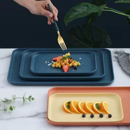 oicia NEW1_Wheat Straw s for Kitchen, Deep Snacks , Dessert s, Eating Dish Tray image 5