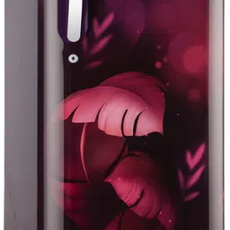 lg 185 L Direct Cool Single Door 5 Star Refrigerator with Base Drawer image 4