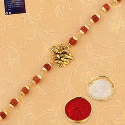 Silver Shine Multicolored Rakhi Combo image 1