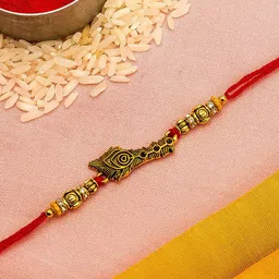 aadita Gold-Toned Stones String Handmade Rakhi-picture-26