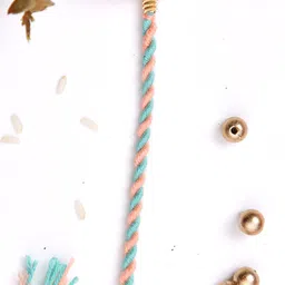 Aapno Rajasthan Twisted Multistrand Rakhi With Roli Chawal & Greetings Card image 2