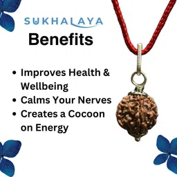 whitechimes 5 Mukhi Nepali Rudraksha Panch Mukha Five Face Mantra Siddha Rudraksh Certified Silver Onyx Silver Pendant image 5