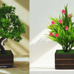 Artificial Plant for Home & Office Decor | Small Decorative Plant with Pot Bonsai Artificial Plant with Pot-image-76