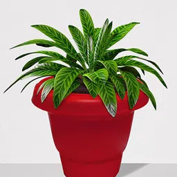 Urban Choice Red 4 Pieces Textured Non-Hanging Artificial Pot image 3