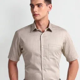 Arrow Spread Collar Micro Checks Striped Regular Fit Cotton Formal Shirt image 3