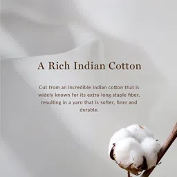 Andamen Windowpane Checks Premium Cotton Formal Shirt image 4