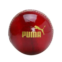 Puma Leather Cricket Ball-picture-35