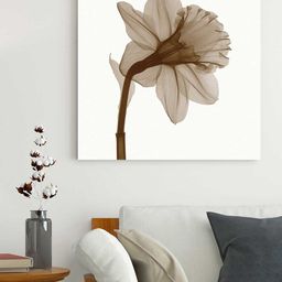 Art Street White & Cream-Coloured Printed Wall Art-picture-28