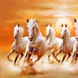 British Terminal White & Orange 1 Piece Paper Birds and Animals Wall Photographs image 4