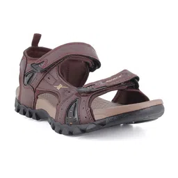 Sparx Men Brown Solid Sports Sandals-picture-40