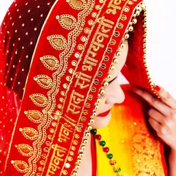 tinytwist Net Embroidered Red Women Dupatta-picture-25