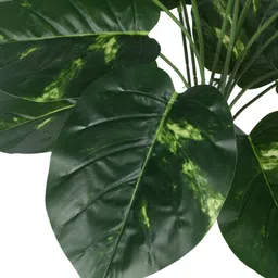 Arick Decor 27 Inch Artificial Real Touch Photosh With Black Pot image 4