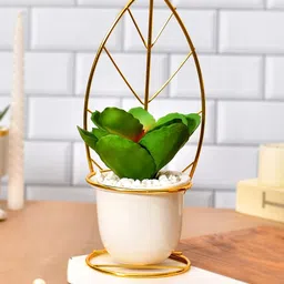 TAYHAA Green & White Artificial Plant With Ceramic Pot-picture-36