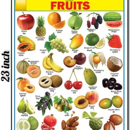 janil All in One Educational Charts for Kids with Colourful Pictures for Children Fine Art Print image 3