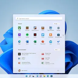 MICROSOFT Windows 11 Home_23 1 User / 1 PC Lifetime Validity Retail License 32 /64 Bit (Flash Drive) image 2