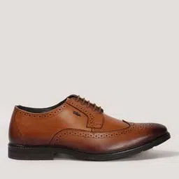 lee cooper Men Oxford Shoes-picture-11