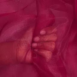 ramiv vastra Unstitched Organza Multipurpose Running Fabric Solid image 2